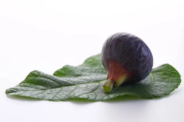 Fresh Fig Fruit Leaves White Background — Stock Photo, Image