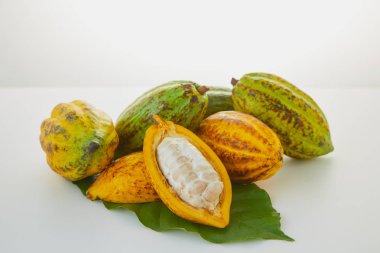 Beyaz arka planda yeşil yapraklı taze kakao meyveleri