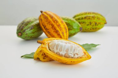 Beyaz arka planda yeşil yapraklı taze kakao meyveleri