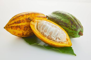 Beyaz arka planda yeşil yapraklı taze kakao meyveleri