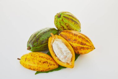 Beyaz arka planda yeşil yapraklı taze kakao meyveleri