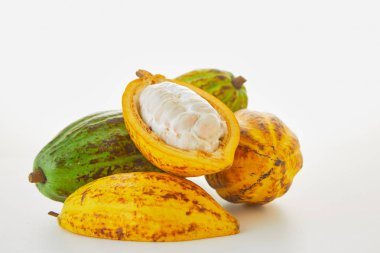 Beyaz arka planda yeşil yapraklı taze kakao meyveleri