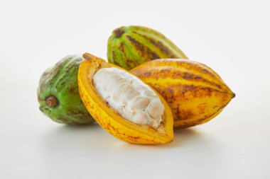 Beyaz arka planda yeşil yapraklı taze kakao meyveleri