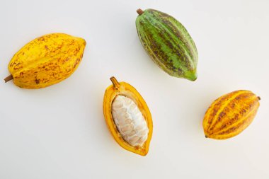 Beyaz arka planda yeşil yapraklı taze kakao meyveleri