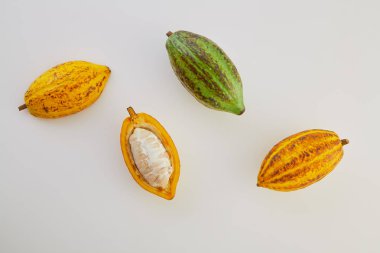 Beyaz arka planda yeşil yapraklı taze kakao meyveleri