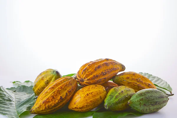 Buah Kakao Segar Dengan Daun Hijau Dengan Latar Belakang Putih — Stok Foto