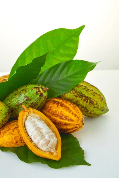 Beyaz arka planda yeşil yapraklı taze kakao meyveleri