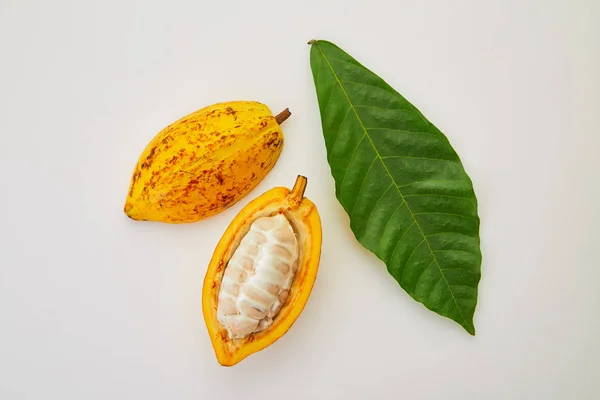 Beyaz arka planda yeşil yapraklı taze kakao meyveleri