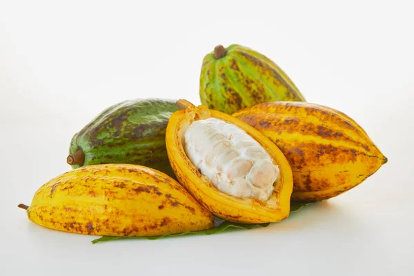 Buah Kakao Segar Dengan Daun Hijau Dengan Latar Belakang Putih — Stok Foto