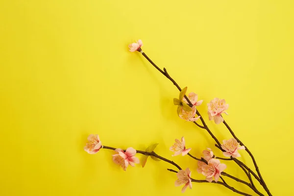 Flor Flores Ameixa Rosa Mínima Fundo Amarelo Espaço Vazio Para — Fotografia de Stock