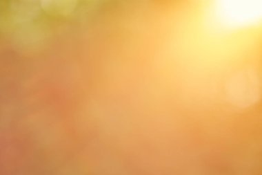 güneş ışığı doğa glitter yeşil renk doğa bokeh odak yumuşak bulanıklık soyut arka plan yumuşak ışık ve maske metin eklemek için alan kopyalayın