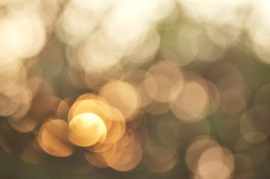 güneş ışığı doğa glitter yeşil renk doğa bokeh odak yumuşak bulanıklık soyut arka plan yumuşak ışık ve maske metin eklemek için alan kopyalayın