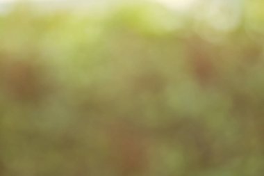 güneş ışığı doğa glitter yeşil renk doğa bokeh odak yumuşak bulanıklık soyut arka plan yumuşak ışık ve maske metin eklemek için alan kopyalayın