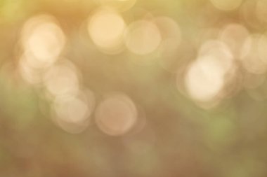 güneş ışığı doğa glitter yeşil renk doğa bokeh odak yumuşak bulanıklık soyut arka plan yumuşak ışık ve maske metin eklemek için alan kopyalayın