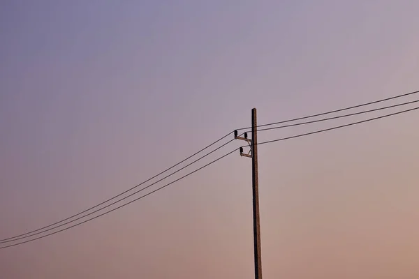 Електричний Пост Лініями Електропередач Заході Сонця — стокове фото