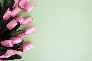 Pembe bahar lale parlak bir yeşil Kağıt arka plan, düz bir bileşiminde kopya alanı ile yatıyordu.