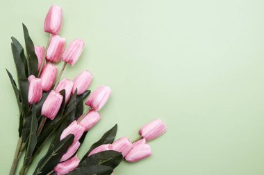 Pembe bahar lale parlak bir yeşil Kağıt arka plan, düz bir bileşiminde kopya alanı ile yatıyordu.