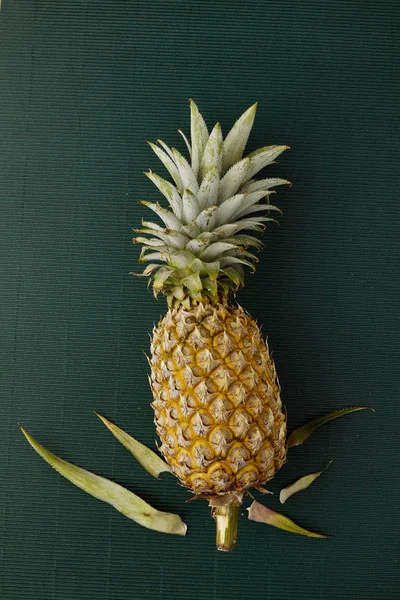 Pineapple on paper green background — Stock Photo, Image