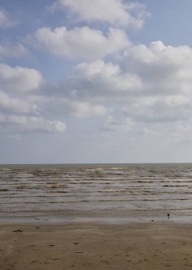 Yaz tropikal deniz, plaj