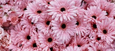 pembe çiçekler arka plan için kullanın