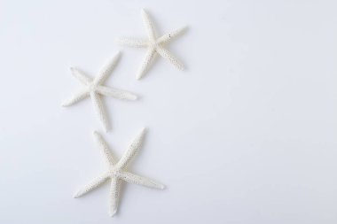 beyaz zemin üzerinde yıldız balık