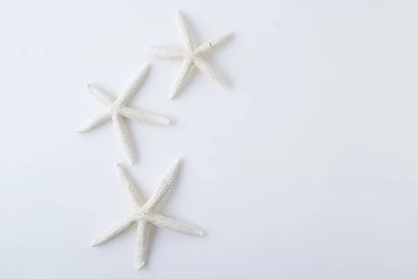 Estrella de mar sobre fondo blanco — Foto de Stock