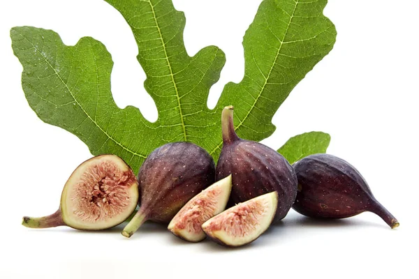 Fresh Fruits of Fig tree with leaves — Stock Photo, Image