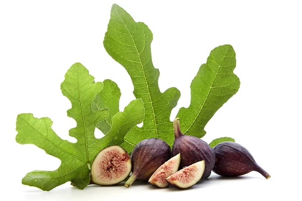 Fresh Fruits of Fig tree with leaves — Stock Photo, Image