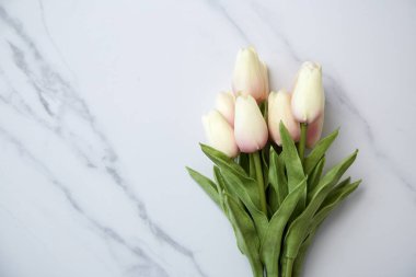 Dünya Kadınlar günü arka plan