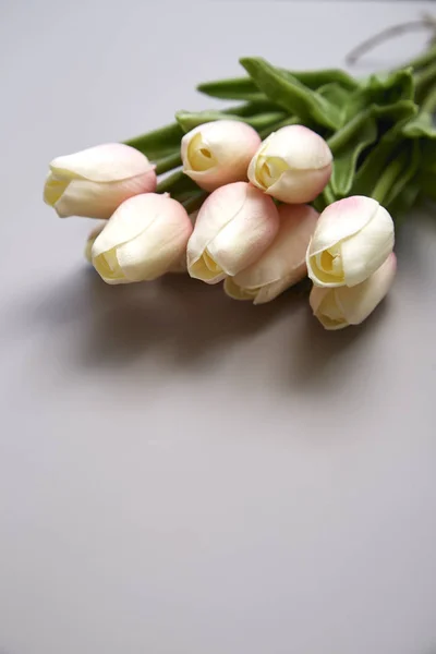Tulipanes rosados para el Día Internacional de la Mujer — Foto de Stock