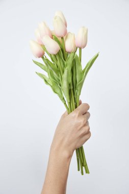 Kadının eli lale tutuyor