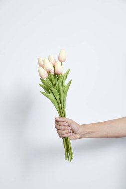 Kadının eli lale tutuyor