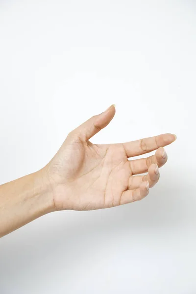 Hand woman's holding something — Stock Photo, Image