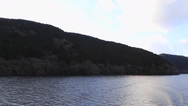 Vista Del Monte Fuji Puerta Roja Del Santuario Hakone Lago — Vídeo de stock