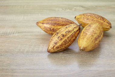 Masada taze kakao bakla