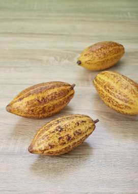 Masada taze kakao bakla