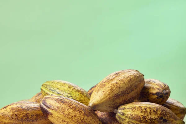 Cacao sobre mesa de madera —  Fotos de Stock