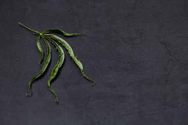 Tıbbi esrar esrar yaprakları