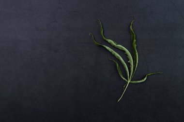 Tıbbi esrar esrar yaprakları