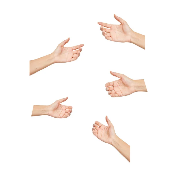 Bir şey tutan el Boş kadın kadın seti