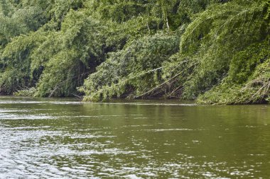 Seyahat Kanchanaburi nehir Kwai Yai