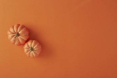 Turuncu kağıt üzerinde kabak süslemeleri