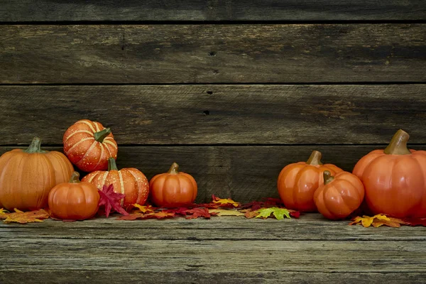 Abóboras de outono e folhas em madeira — Fotografia de Stock