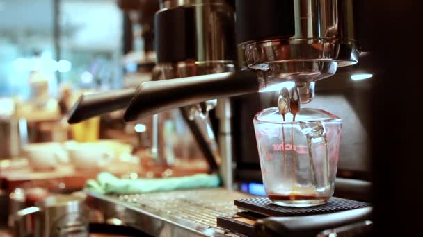 Kaffekokare Aktion Barista Arbetsbeskrivning — Stockvideo