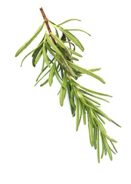 Beyaz arka planda taze çiğ biberiye