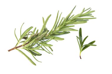 Beyaz arka planda taze çiğ biberiye