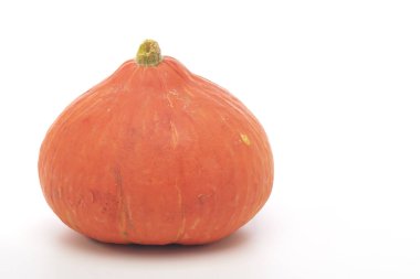 beyaz arkaplanda turuncu balkabağı