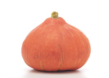 beyaz arkaplanda turuncu balkabağı