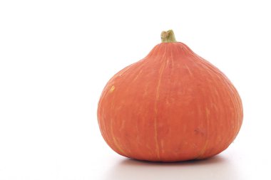 beyaz arkaplanda turuncu balkabağı