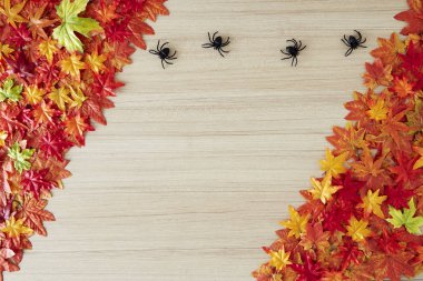 boş alan ve sonbahar zamanı sonbahar arka plan